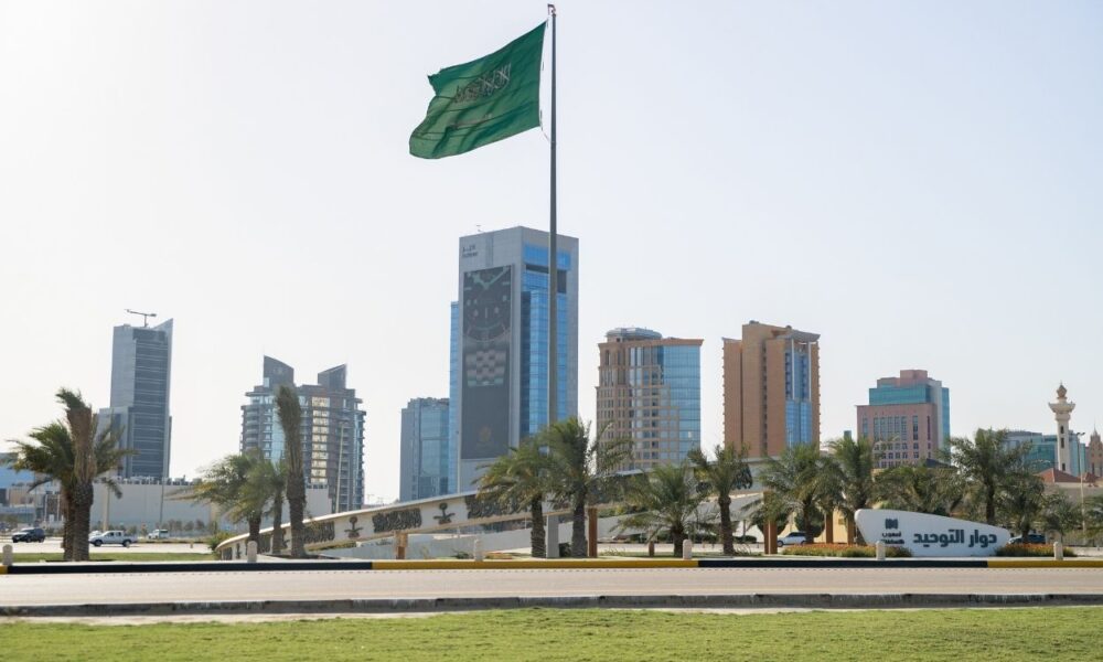 Image Source - Saudi Arabias UN Voluntary National Review Highlights Saudi Electronic Universitys SDG Contributions - MENAWireNOW.com