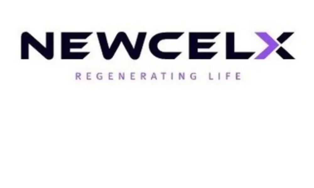 NewcelX Granted Patent in Brazil for NCEL-101 in Type 1 Diabetes Expanding Global IP Portfolio - MENAWireNOW.com